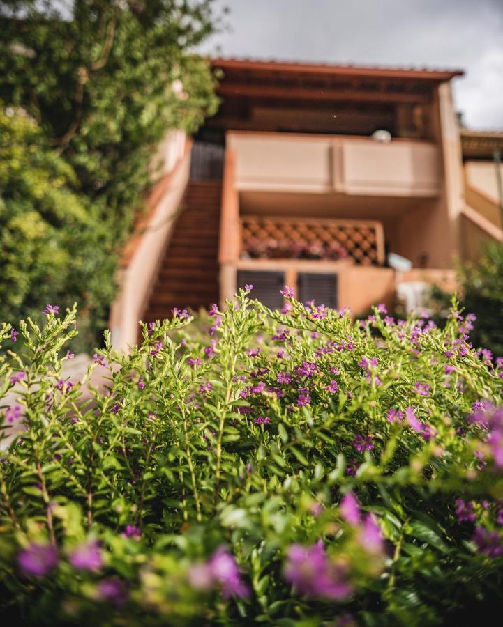 Purple House, 30M To Beach Пула Экстерьер фото